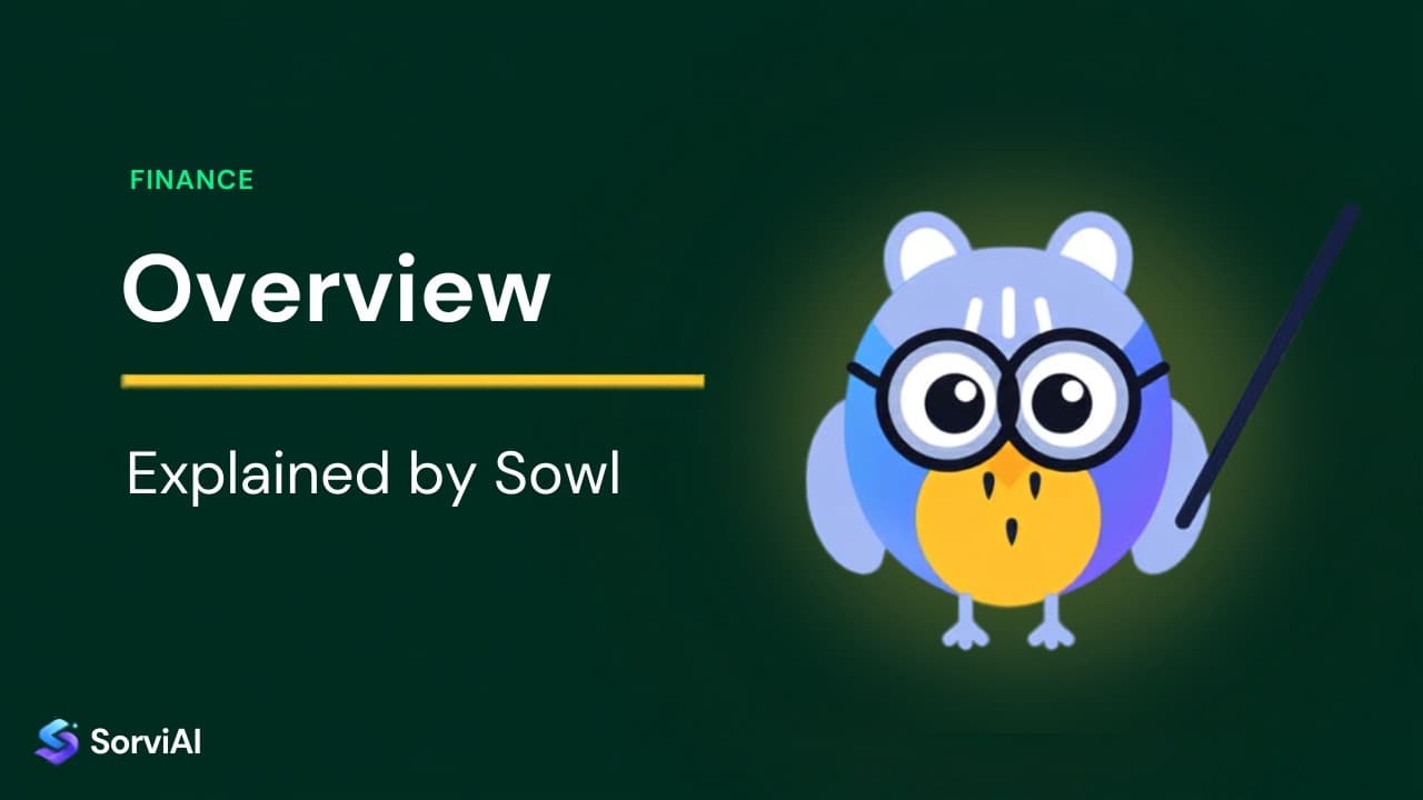 The Finance Overview, explained by Sowl: the SorviAI tutor, a blue owl in round glasses holding a pointer.