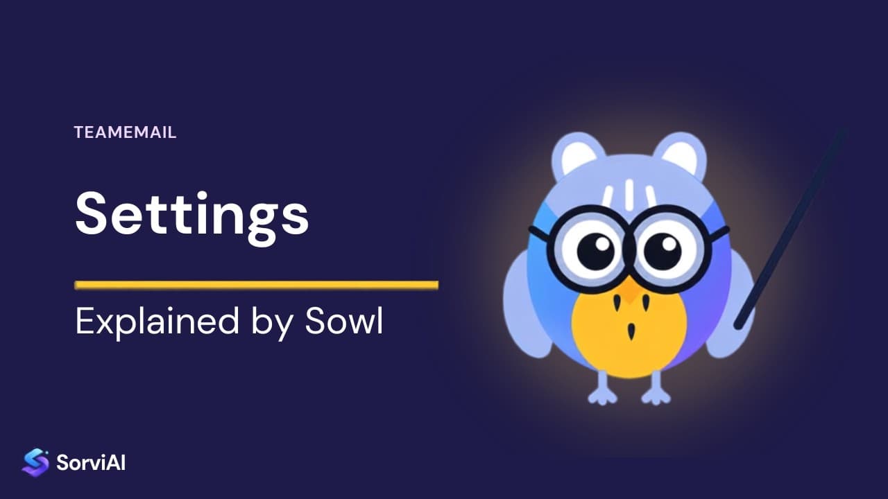 TeamEmail settings, explained by Sowl: the SorviAI tutor, a blue owl in round glasses holding a pointer.
