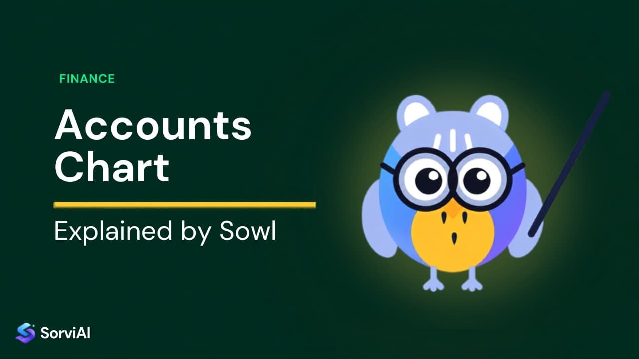 Accounts chart, explained by Sowl: the SorviAI tutor, a blue owl in round glasses holding a pointer.