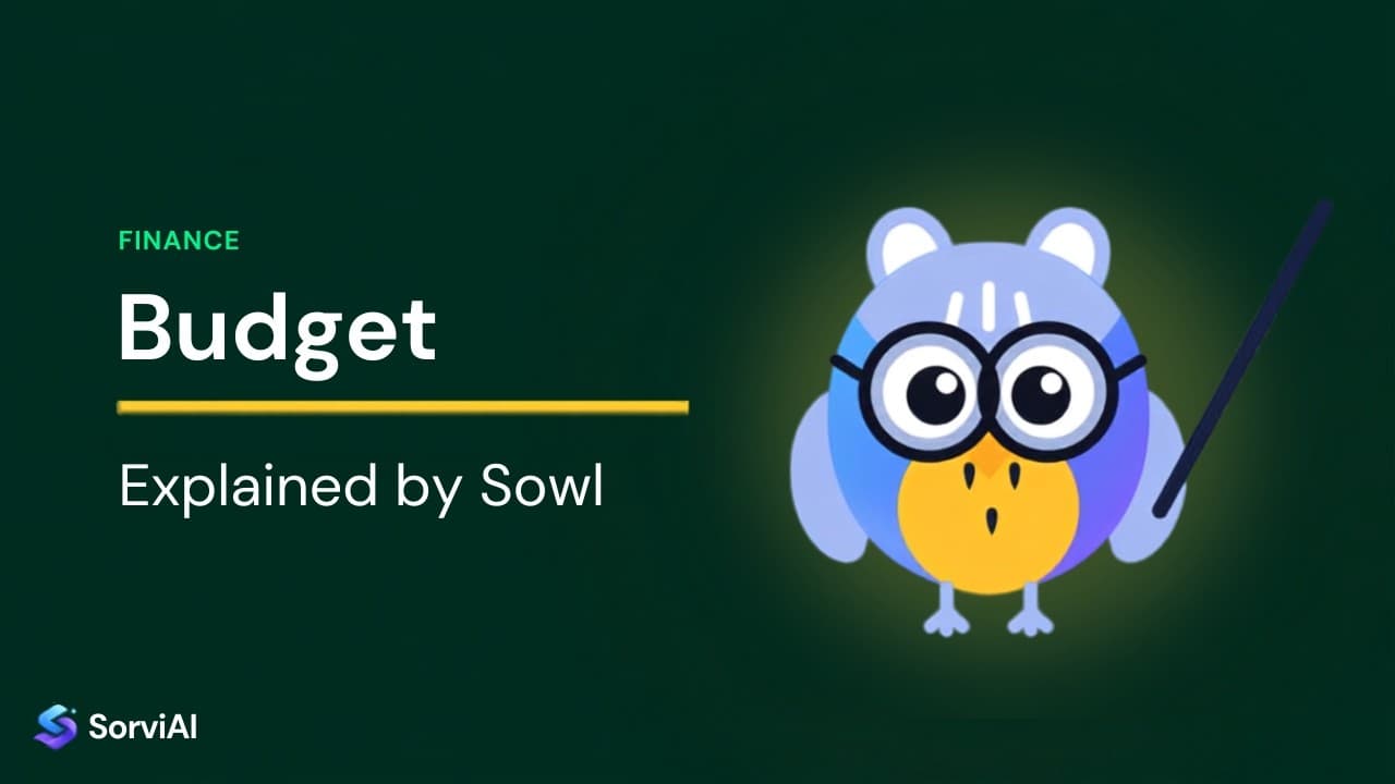 Budget, explained by Sowl: the SorviAI tutor, a blue owl in round glasses holding a pointer.