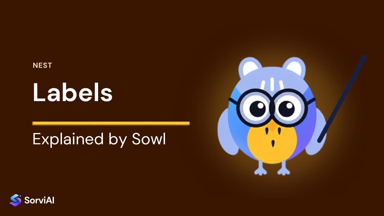 Labels in Nest, explained by Sowl: the SorviAI tutor, a blue owl in round glasses holding a pointer.