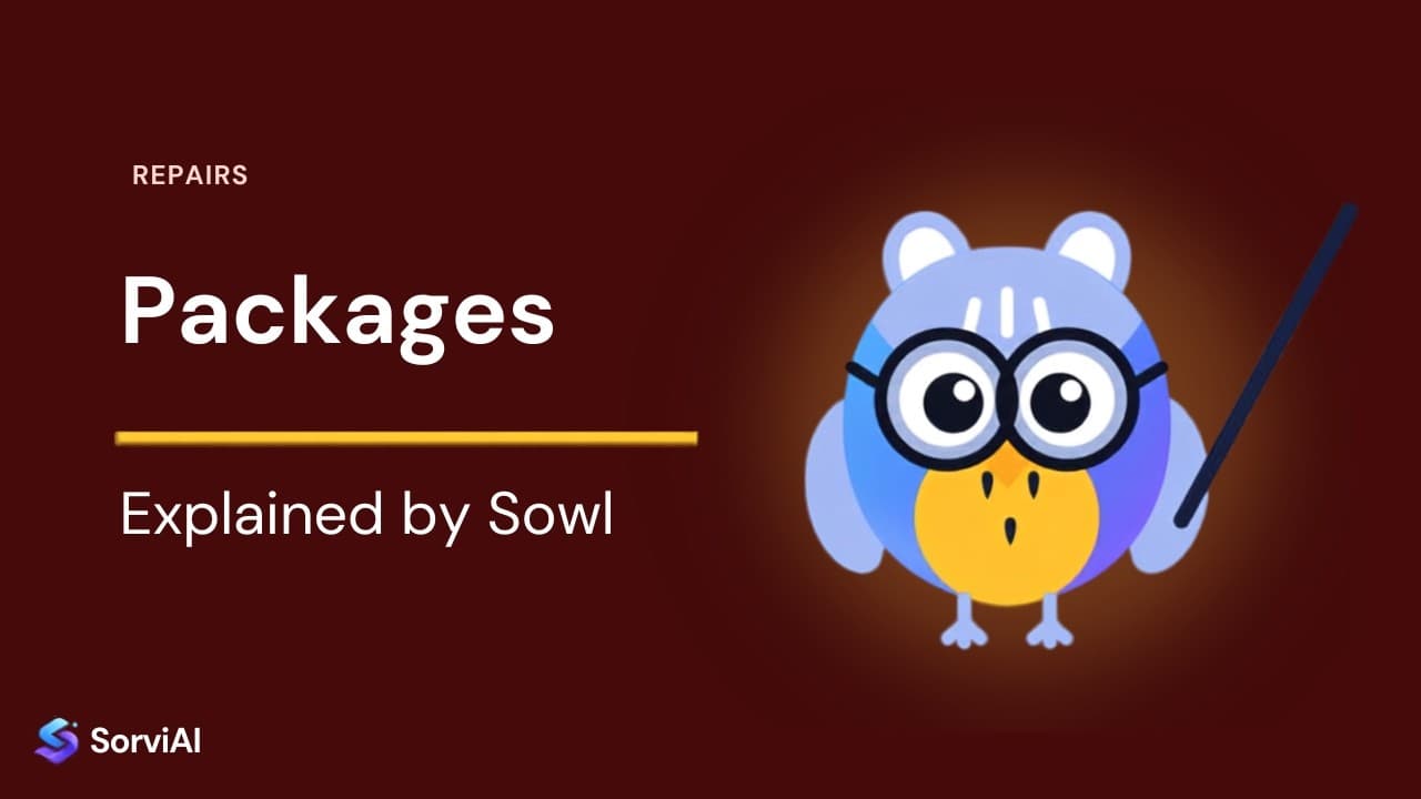 Packages in Repairs, explained by Sowl: the SorviAI tutor, a blue owl in round glasses holding a pointer.